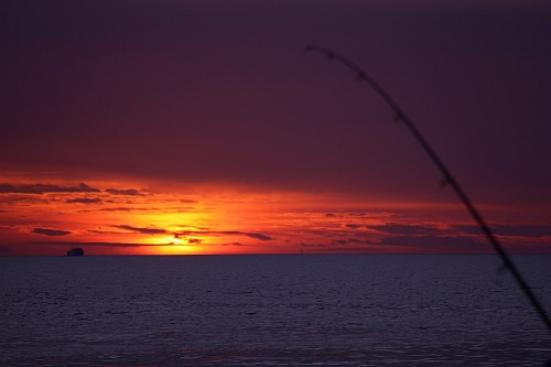Warnemuende
Sunset - fishing (au&szlig;er Konkurrenz)
Küstenlandschaft, Fischerei/Aquakultur, Geographie - Gemäßigt
Wenzel